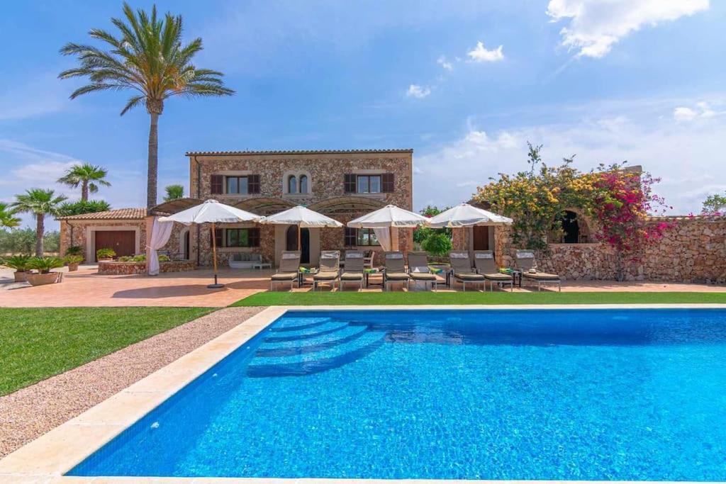 Sanchez Villa *